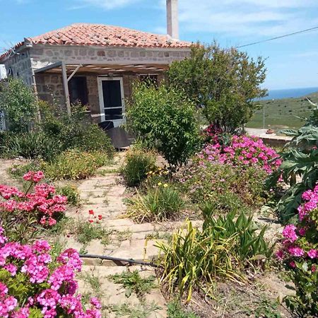 Cozy House With Amazing Sea View Kaminia (Lemnos) Exterior foto